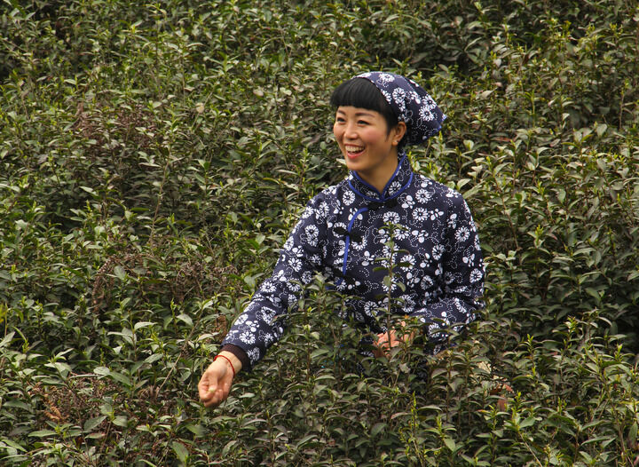 雨伞下的罪恶